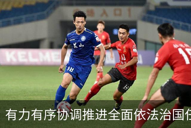 有力有序协调推进全面依法治国任务落实（权威发布·开局起步“十五五”）